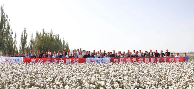 宜化豐收中國行！新疆棉花大型測產(chǎn)觀摩會成功舉行
